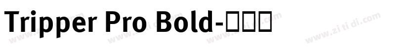 Tripper Pro Bold字体转换